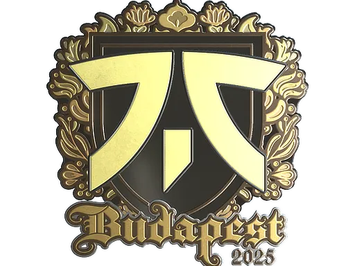 Sticker | fnatic (Gold) | Budapest 2025 - $ 0.00