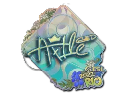 Sticker | Ax1Le (Holo) | Rio 2022 - $ 2.04