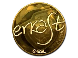 Sticker | erkaSt (Gold) | Katowice 2019 - $ 28.47