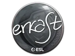 Sticker | erkaSt | Katowice 2019 - $ 0.96