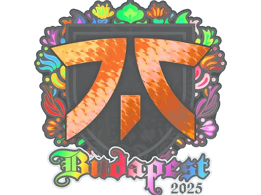 Sticker | fnatic (Holo) | Budapest 2025 - $ 4.64