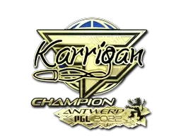 Sticker | karrigan (Gold, Champion) | Antwerp 2022 - $ 8.28