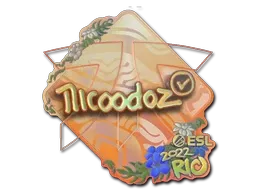 Sticker | nicoodoz (Holo) | Rio 2022 - $ 0.75