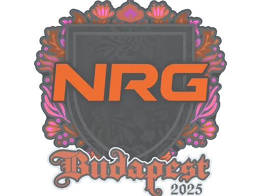 Sticker | NRG | Budapest 2025 - $ 0.03