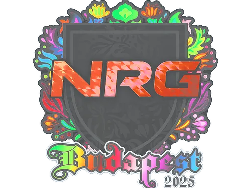 Sticker | NRG (Holo) | Budapest 2025 - $ 4.66