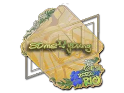 Sticker | sdy (Holo) | Rio 2022 - $ 0.69