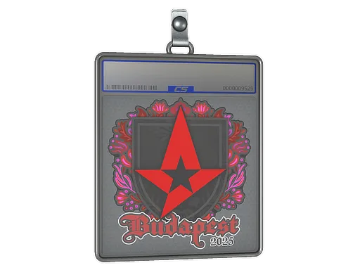 Sticker Slab | Astralis | Budapest 2025 - $ 0.60