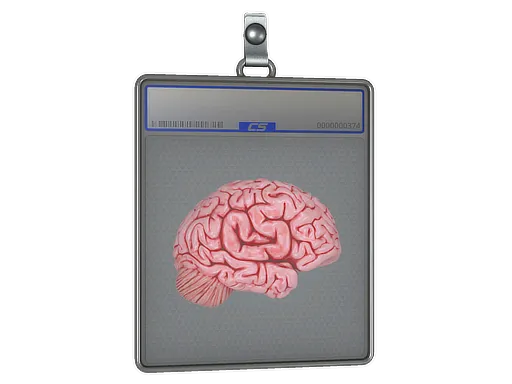 Sticker Slab | CS On The Mind - $ 1.60
