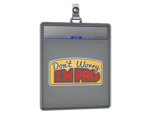 Sticker Slab | Don't Worry, I'm Pro - $ 4.69