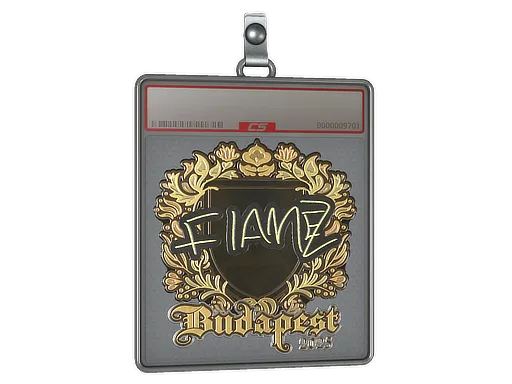 Sticker Slab | FlameZ (Gold) | Budapest 2025 - $ 6.58