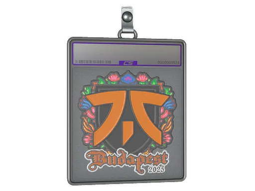 Sticker Slab | fnatic (Embroidered) | Budapest 2025 - $ 0.74
