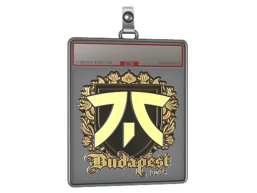 Sticker Slab | fnatic (Gold) | Budapest 2025 - $ 11.89