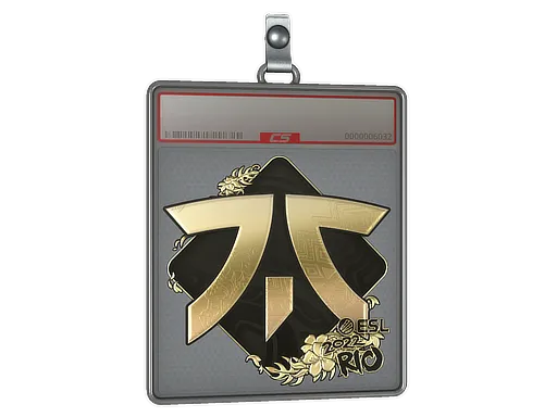 Sticker Slab | Fnatic (Gold) | Rio 2022 - $ 9.55