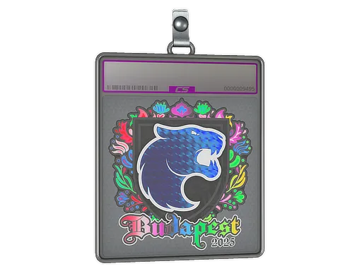 Sticker Slab | FURIA (Holo) | Budapest 2025 - $ 6.11