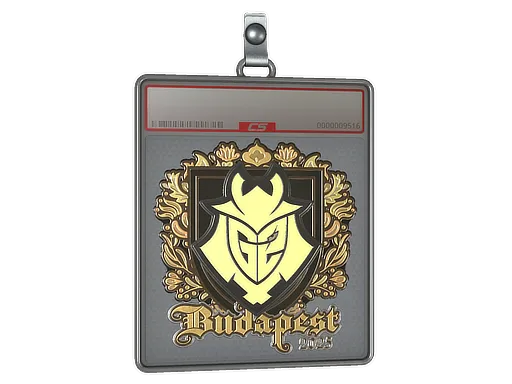 Sticker Slab | G2 esports (Gold) | Budapest 2025 - $ 2.09