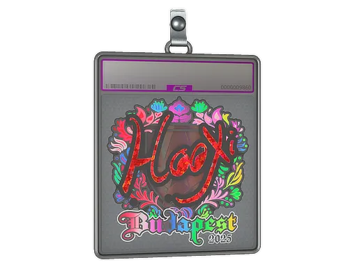Sticker Slab | HooXi (Holo) | Budapest 2025 - $ 0.00