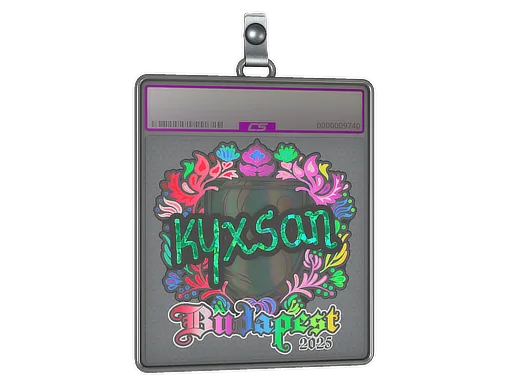 Sticker Slab | kyxsan (Holo) | Budapest 2025 - $ 2.00