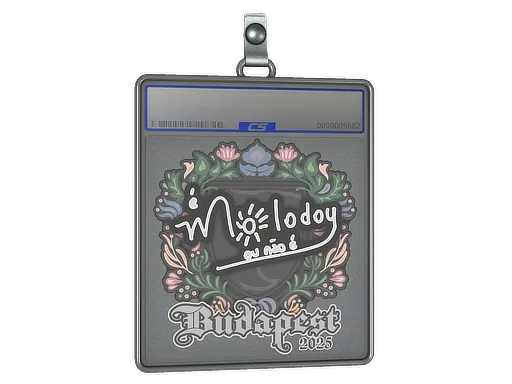 Sticker Slab | molodoy | Budapest 2025 - $ 0.64