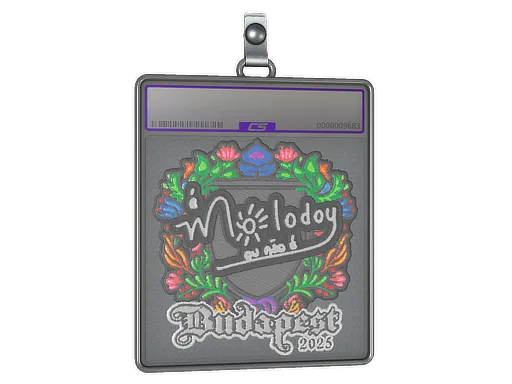 Sticker Slab | molodoy (Embroidered) | Budapest 2025 - $ 0.73