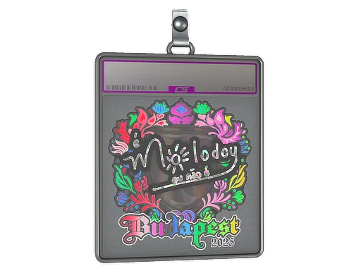 Sticker Slab | molodoy (Holo) | Budapest 2025 - $ 4.32