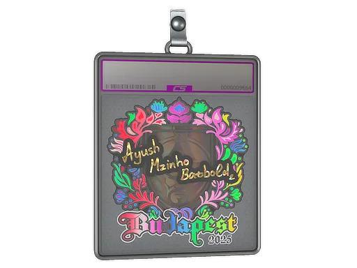 Sticker Slab | mzinho (Holo) | Budapest 2025 - $ 4.18