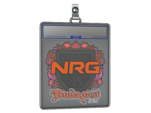 Sticker Slab | NRG | Budapest 2025 - $ 0.69