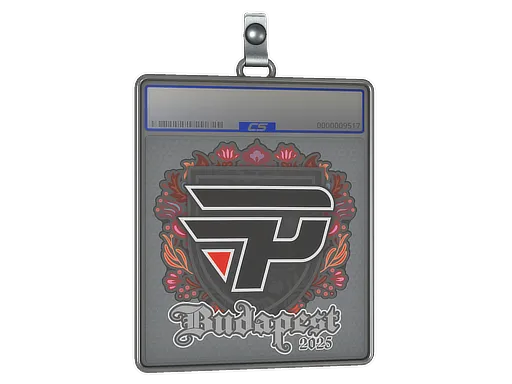Sticker Slab | paiN Gaming | Budapest 2025 - $ 0.60