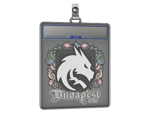 Sticker Slab | Team Spirit | Budapest 2025 - $ 0.66