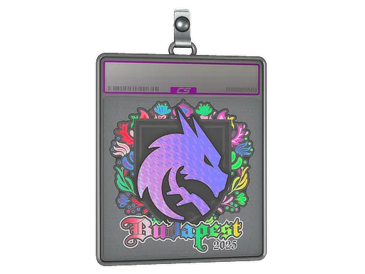 Sticker Slab | Team Spirit (Holo) | Budapest 2025 - $ 5.11