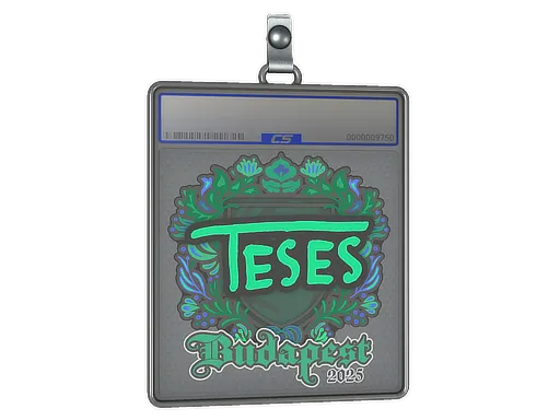 Sticker Slab | TeSeS | Budapest 2025 - $ 0.95