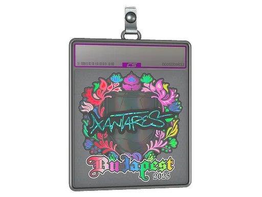 Sticker Slab | XANTARES (Holo) | Budapest 2025 - $ 4.68