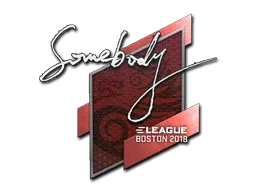 Sticker | somebody | Boston 2018 - $ 24.83