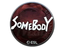 Sticker | somebody (Foil) | Katowice 2019 - $ 6.53