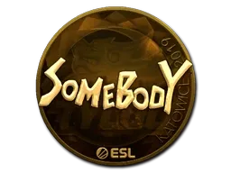 Sticker | somebody (Gold) | Katowice 2019 - $ 178.11