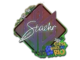 Sticker | Staehr (Glitter) | Rio 2022 - $ 0.08