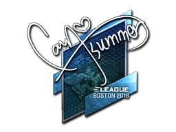 Sticker | Summer (Foil) | Boston 2018 - $ 23.31