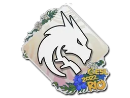 Sticker | Team Spirit | Rio 2022 - $ 0.05