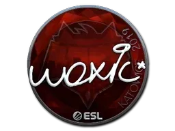 Sticker | woxic (Foil) | Katowice 2019 - $ 6.00