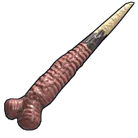Flesh Knife