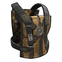 Flyer Vest