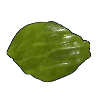 Acid Rock