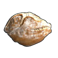 Sourdough Bread
