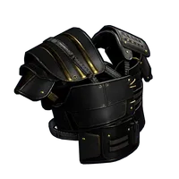 Black Gold Vest