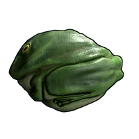 Frog Rock