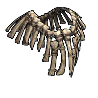Bone Armor Poncho