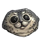 Harbor Seal Rock