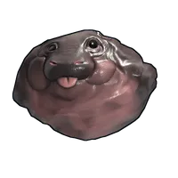 Baby Hippo Rock