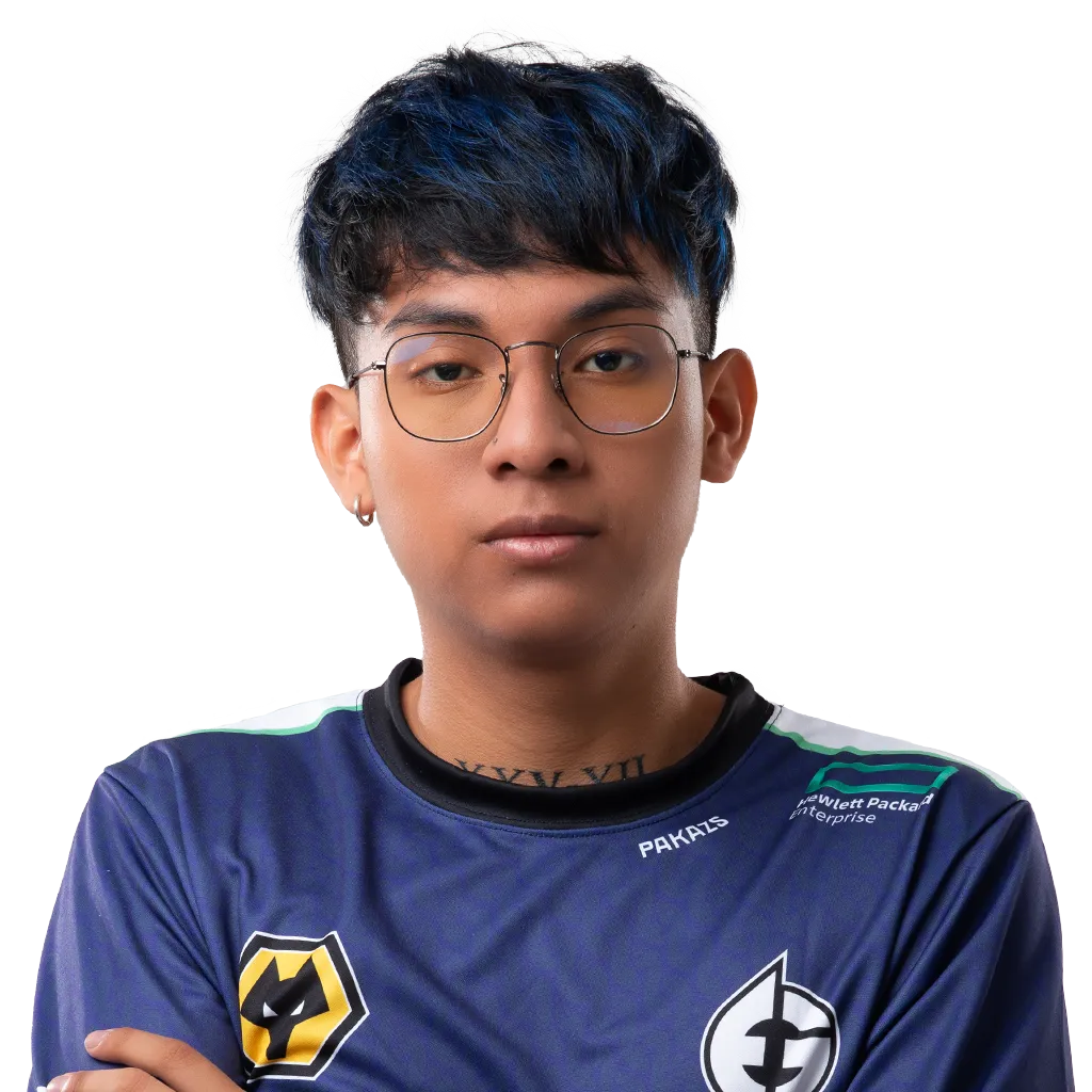 Pakazs Player Sticker - TI 2023