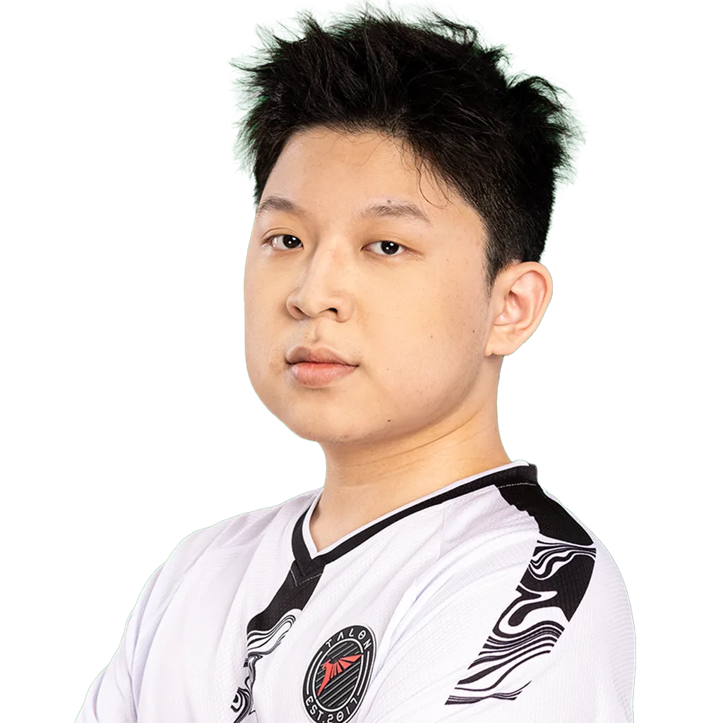Ws` Player Sticker - TI 2024