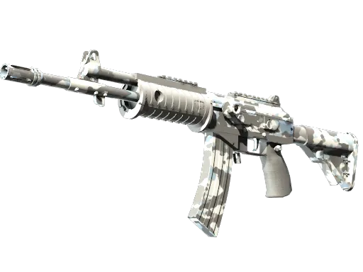 Galil AR | Winter Forest (Factory New)